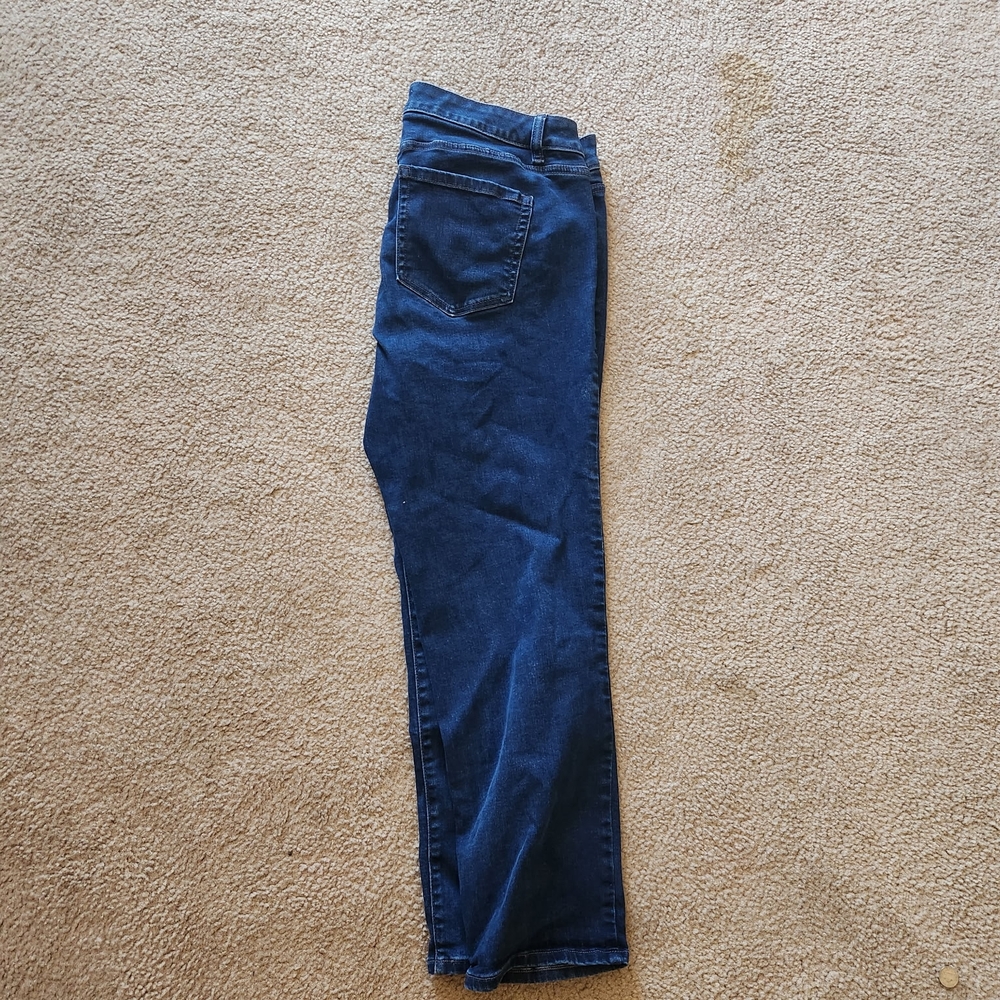 Lane Bryant Men's Navy Skinny Jeans